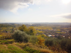 Ein Blick über das Valpolicella