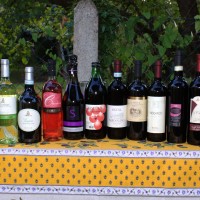 Die Weine der Vini e Gusto Sommerweinprobe