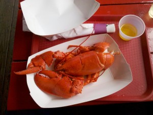 Lobster Dock - Lobster 1